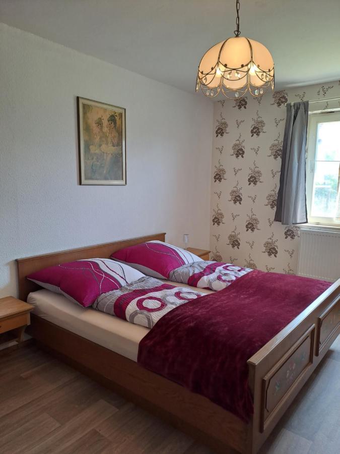 Keller'S Ferienwohnung An Der Saale Schwarzenbach an der Saale Exterior foto